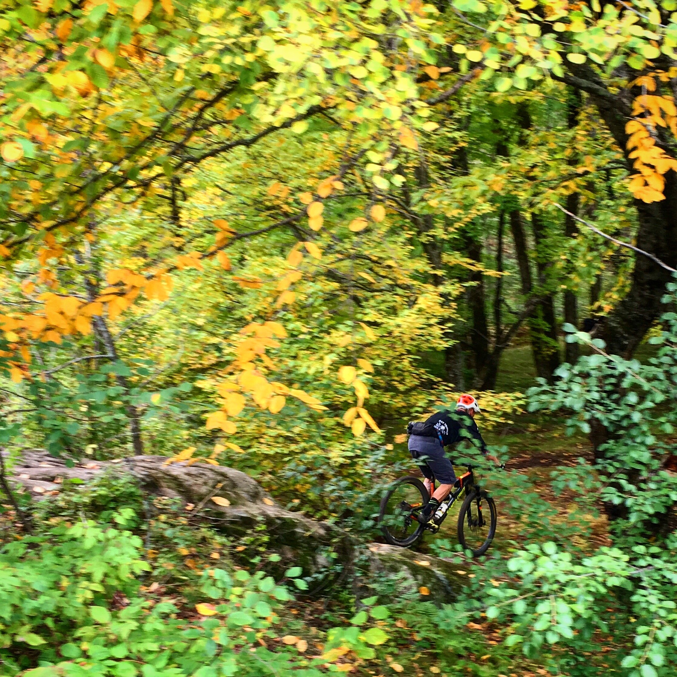 Mountain bike in Piedmont