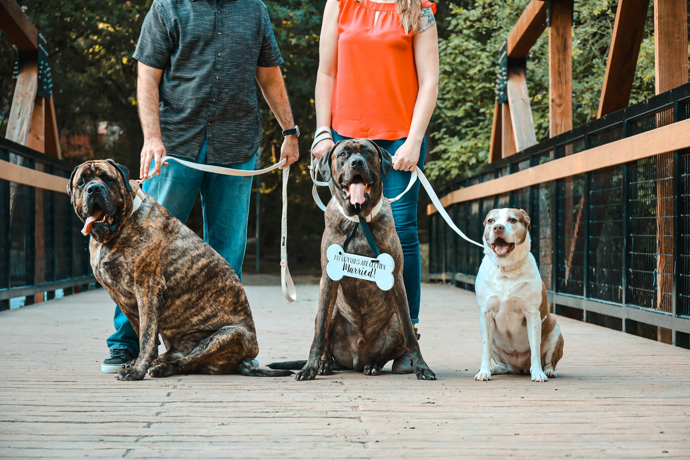 Dallas Engagement Photography