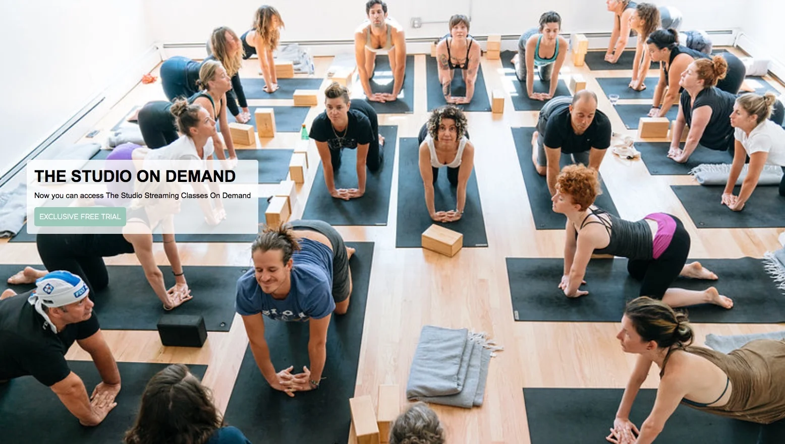 THE STUDIO Katonah Yoga classes on Jetsweat.com