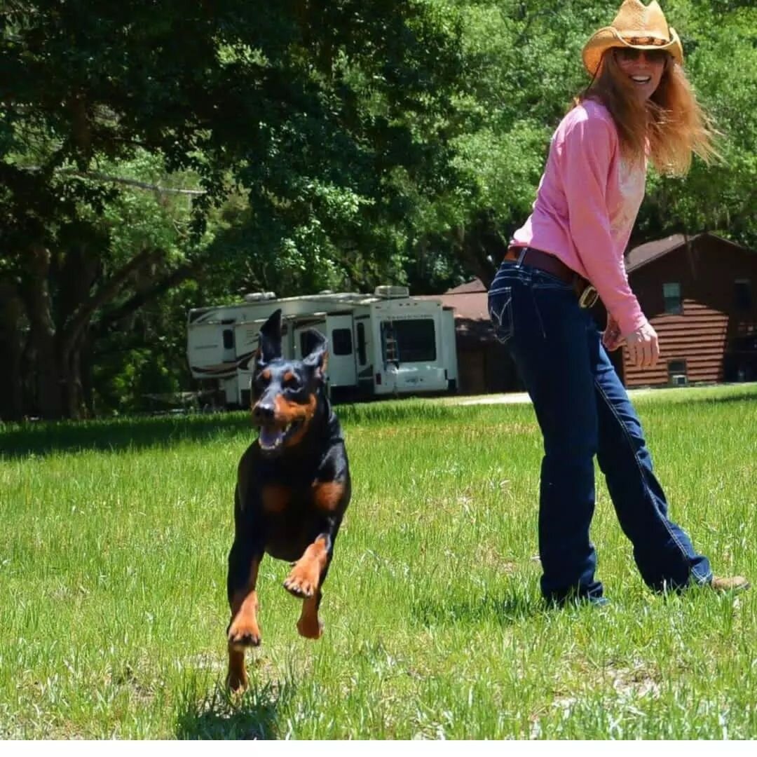 Founder, CEO, and rescue dog mom x 5 @kdthedobe here! I started Fetch Life Inc years ago to give back to shelters after losing my sweet rescue mutt, Bandit. It's a labor of love and day by day we get bigger and louder and we're able to give back more