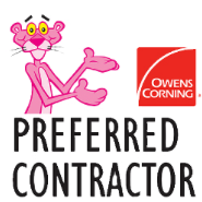 pink panther.png