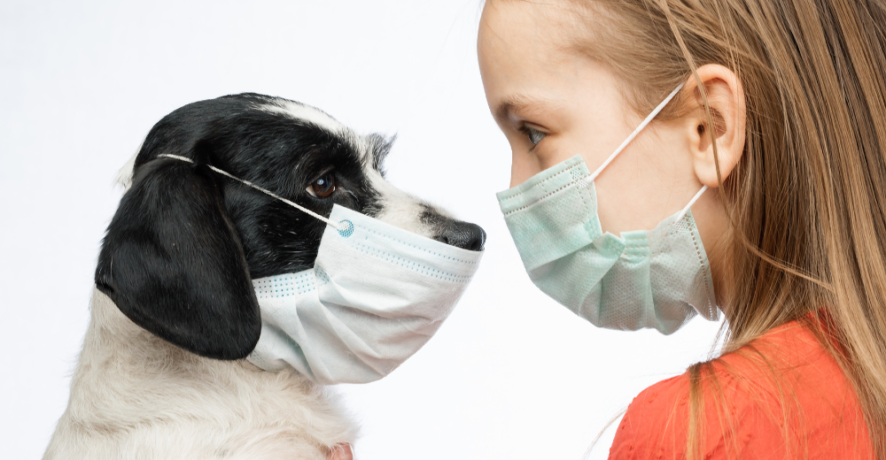 Herd Immunity is a Dangerous Strategy