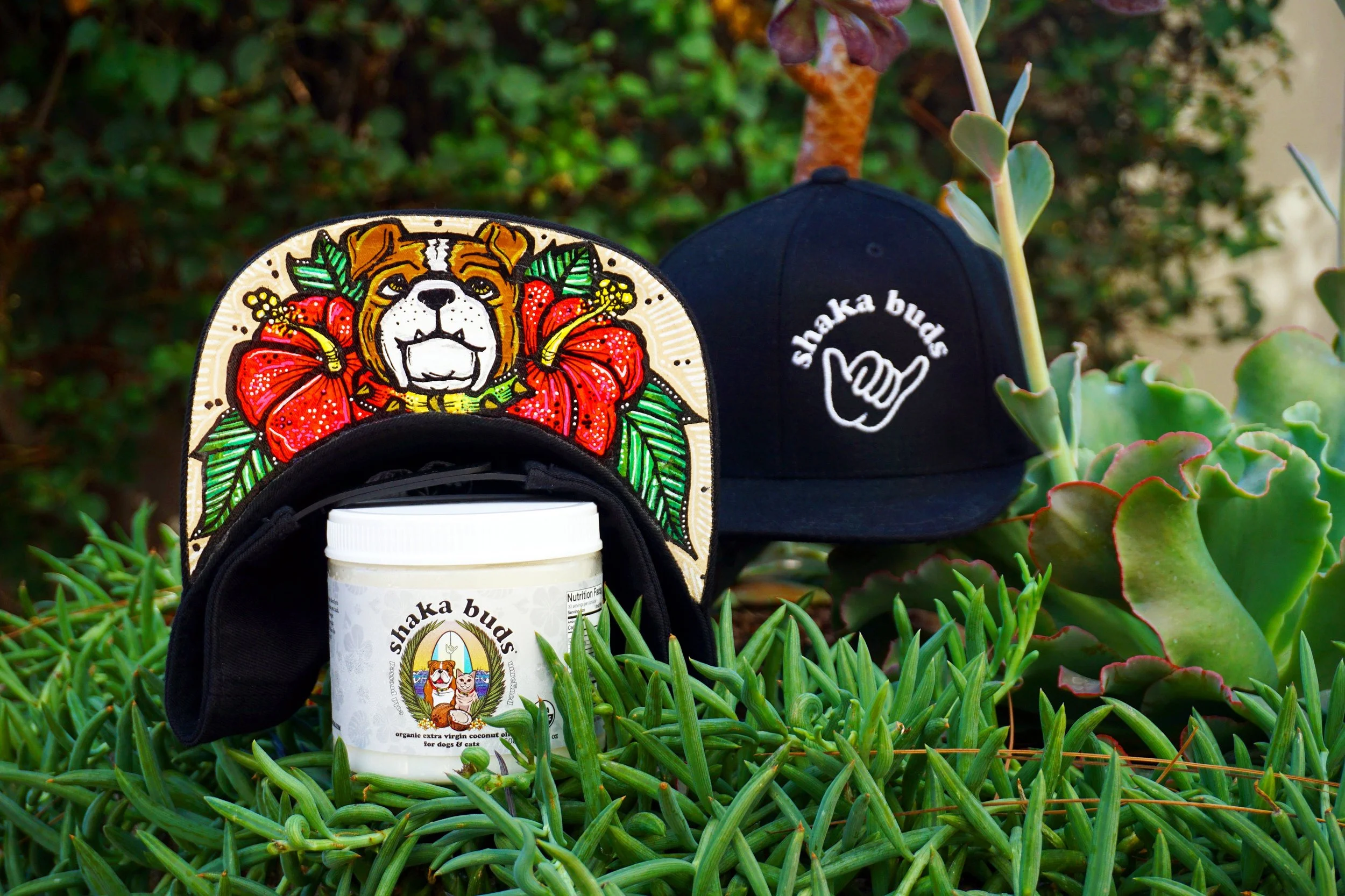 WIN! A Custom Painted Shaka Buds Hat