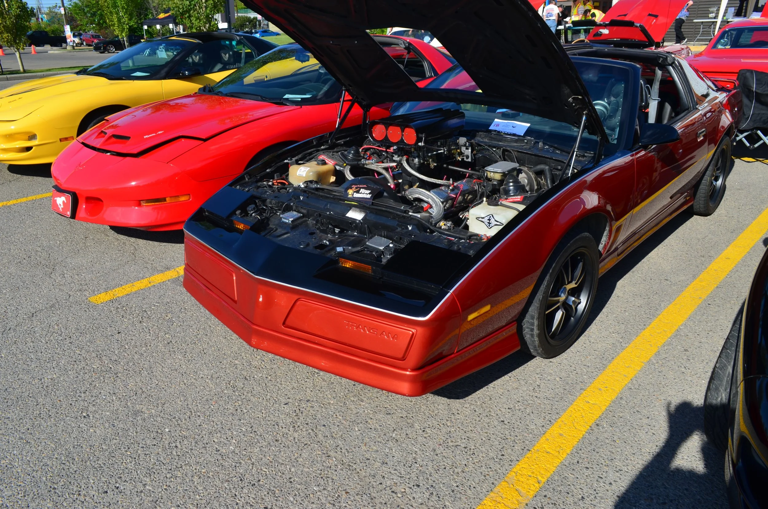 DSC_0756.jpg
