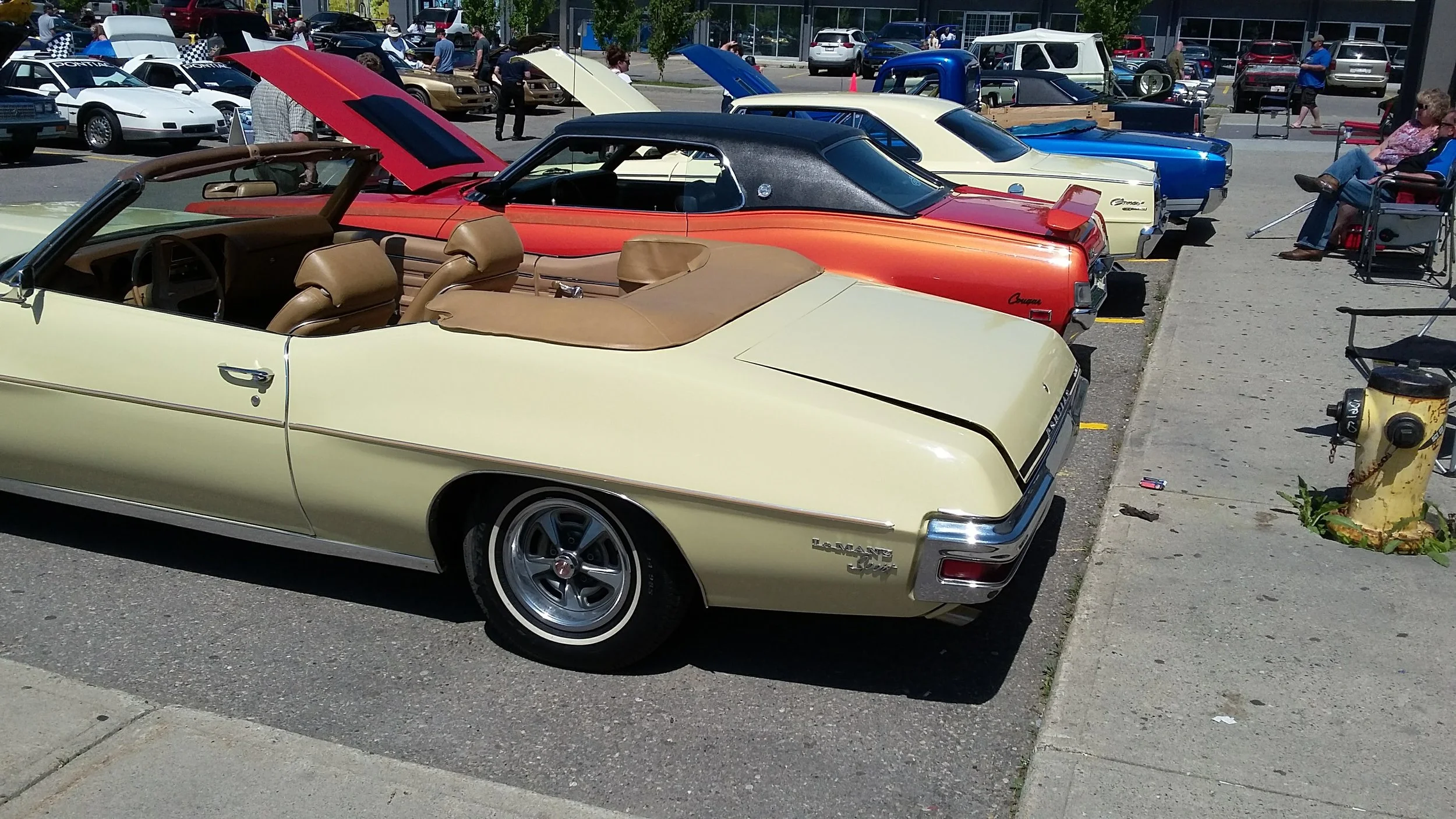 20170528_134611.jpg