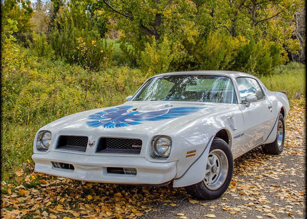 Tracy H's '76 TransAm