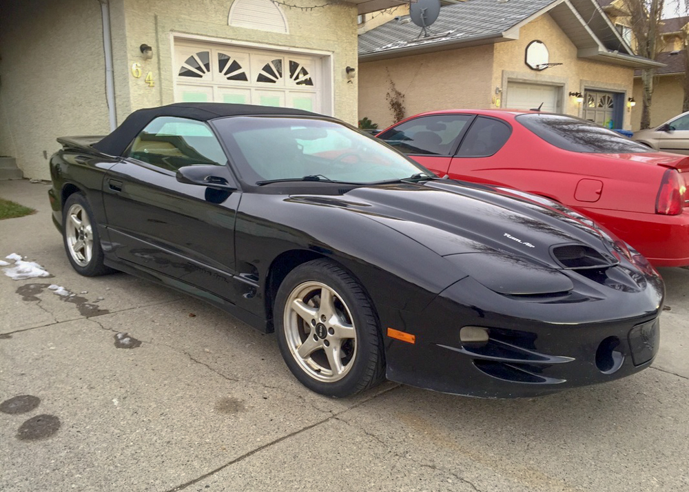 Vivian L's '00 TransAm