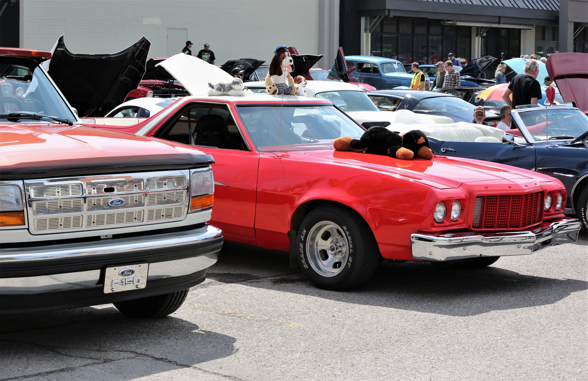 0X6A9575.jpg