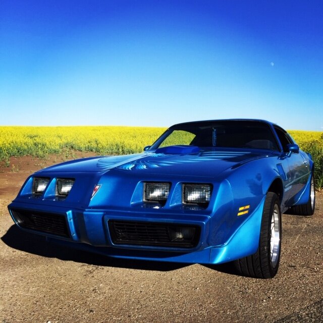 Tammy F's '80 TransAm