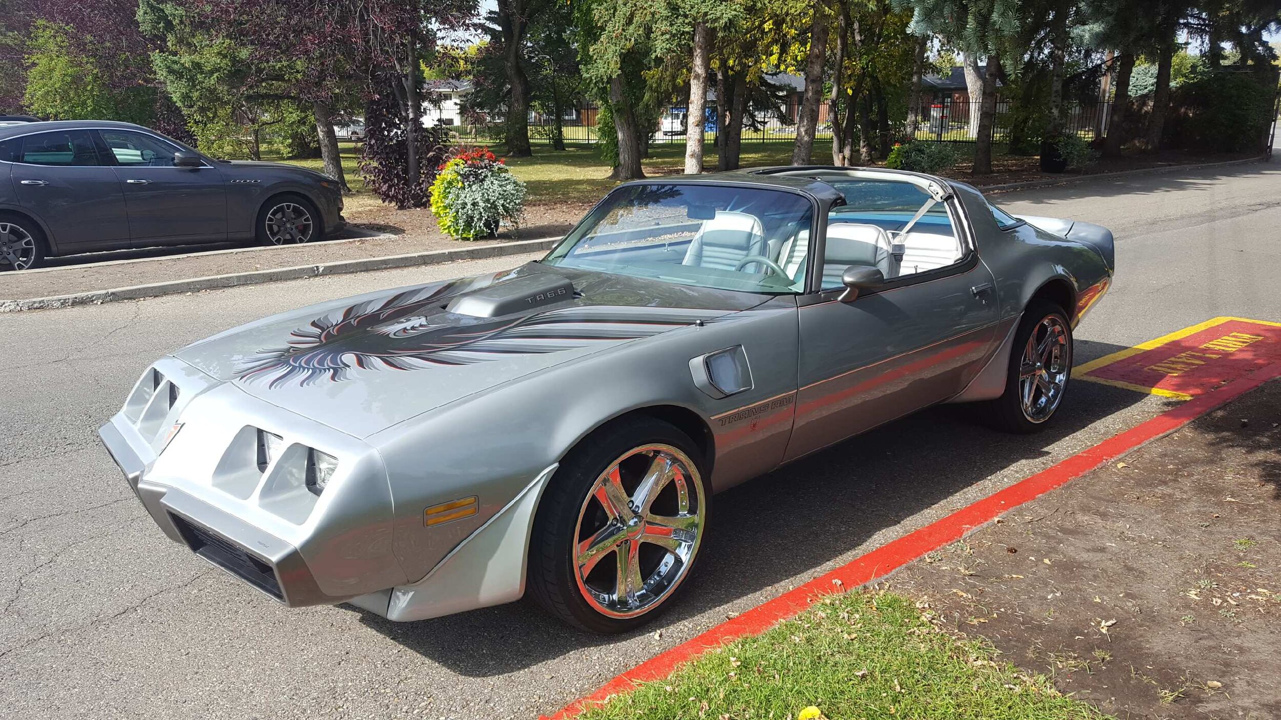 Curtis M's '79 Trans Am