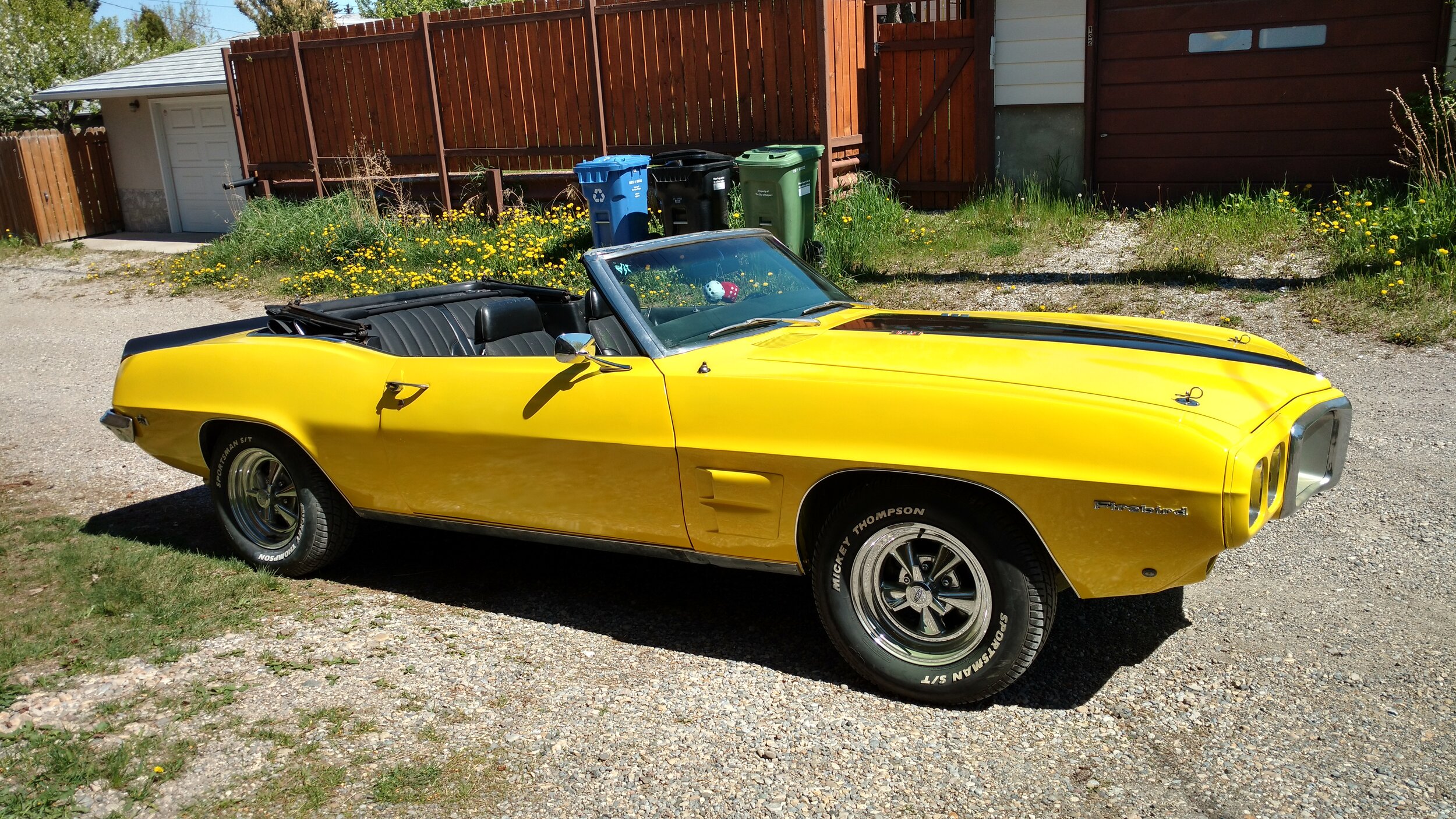 Ron M's '69 Convertible