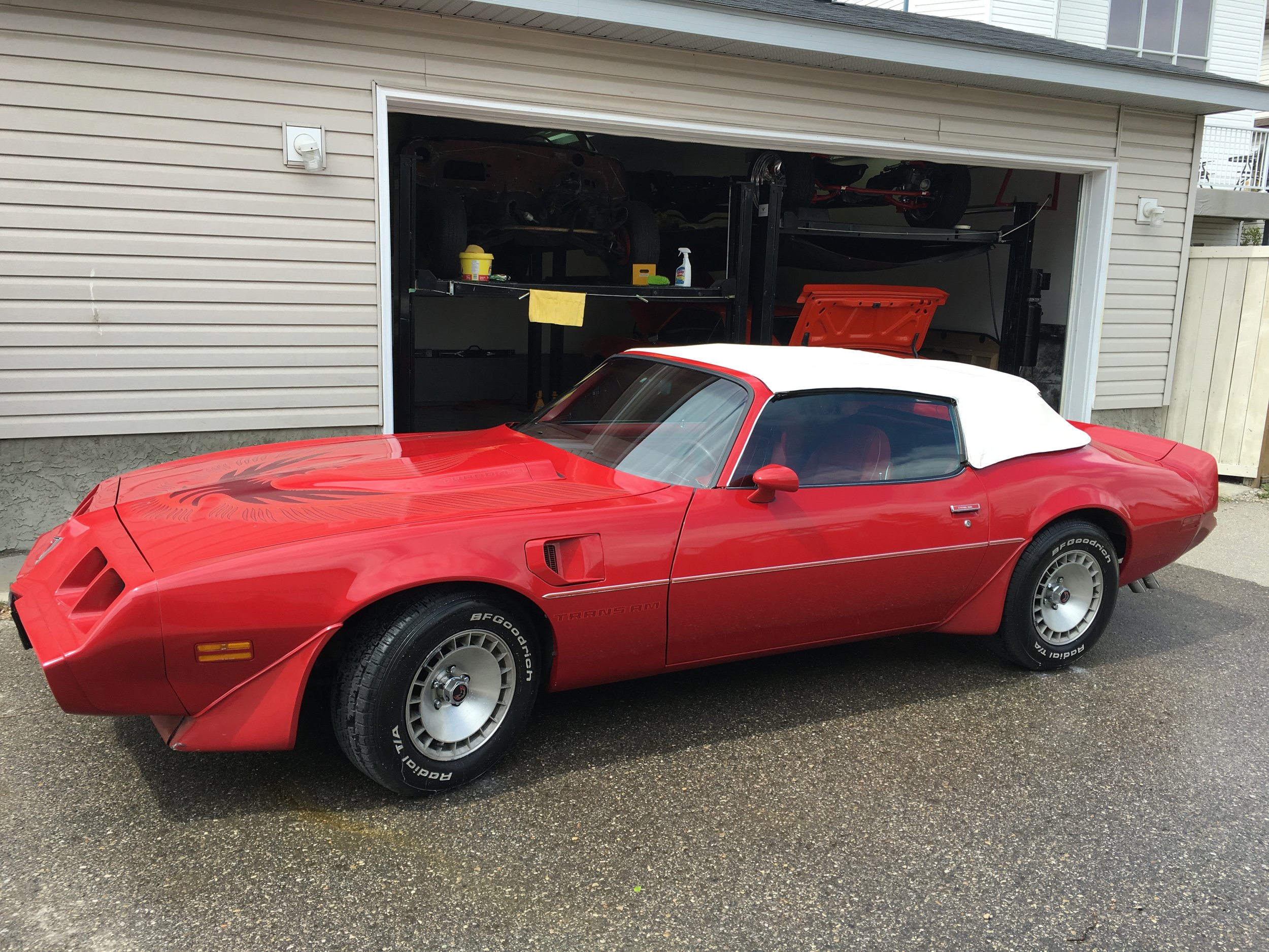 Bogdan Dubroja '81 Convertible TransAm