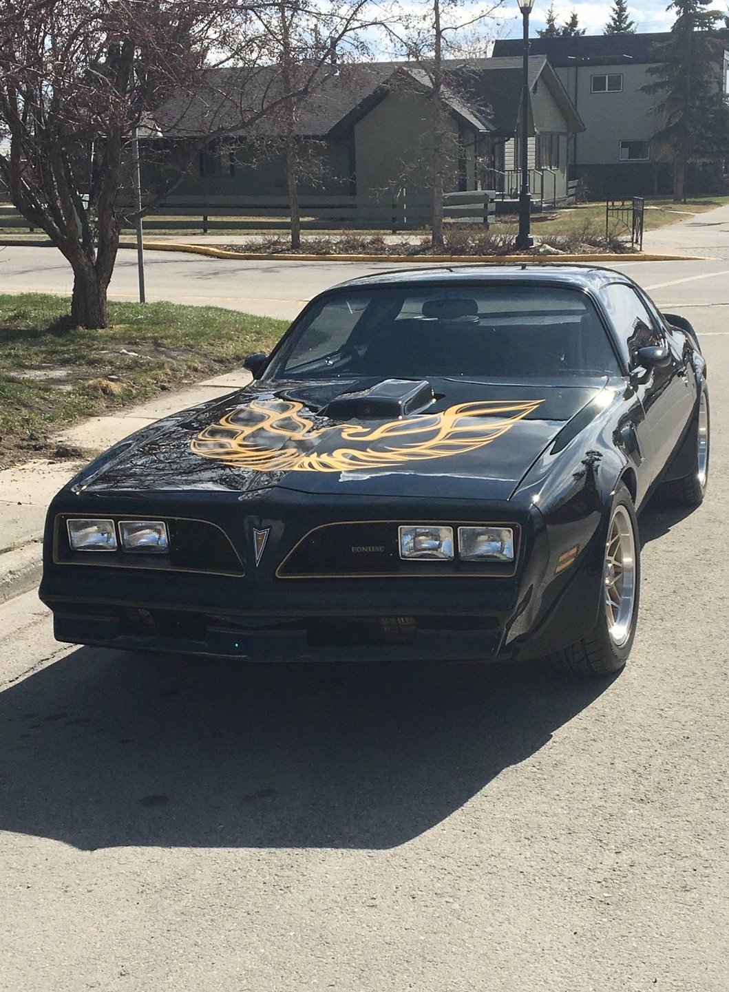 Norbert F's '77 TransAm