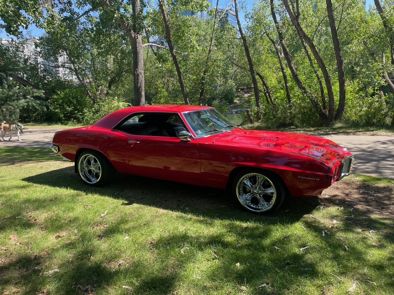 Mike T's '69 Firebird