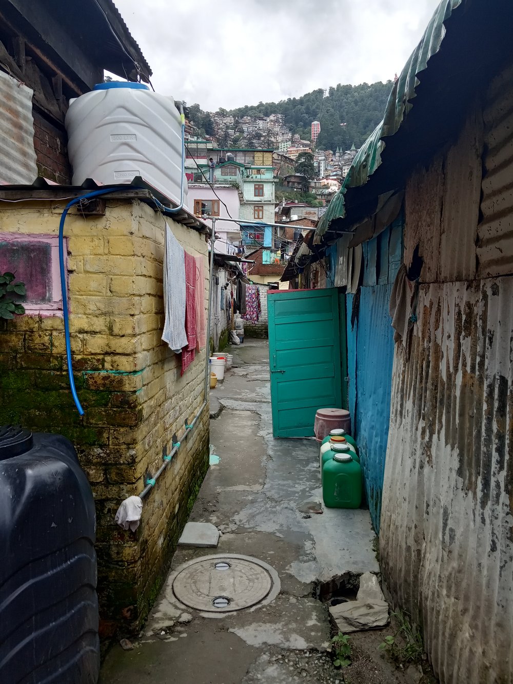 Houses below Cart Road