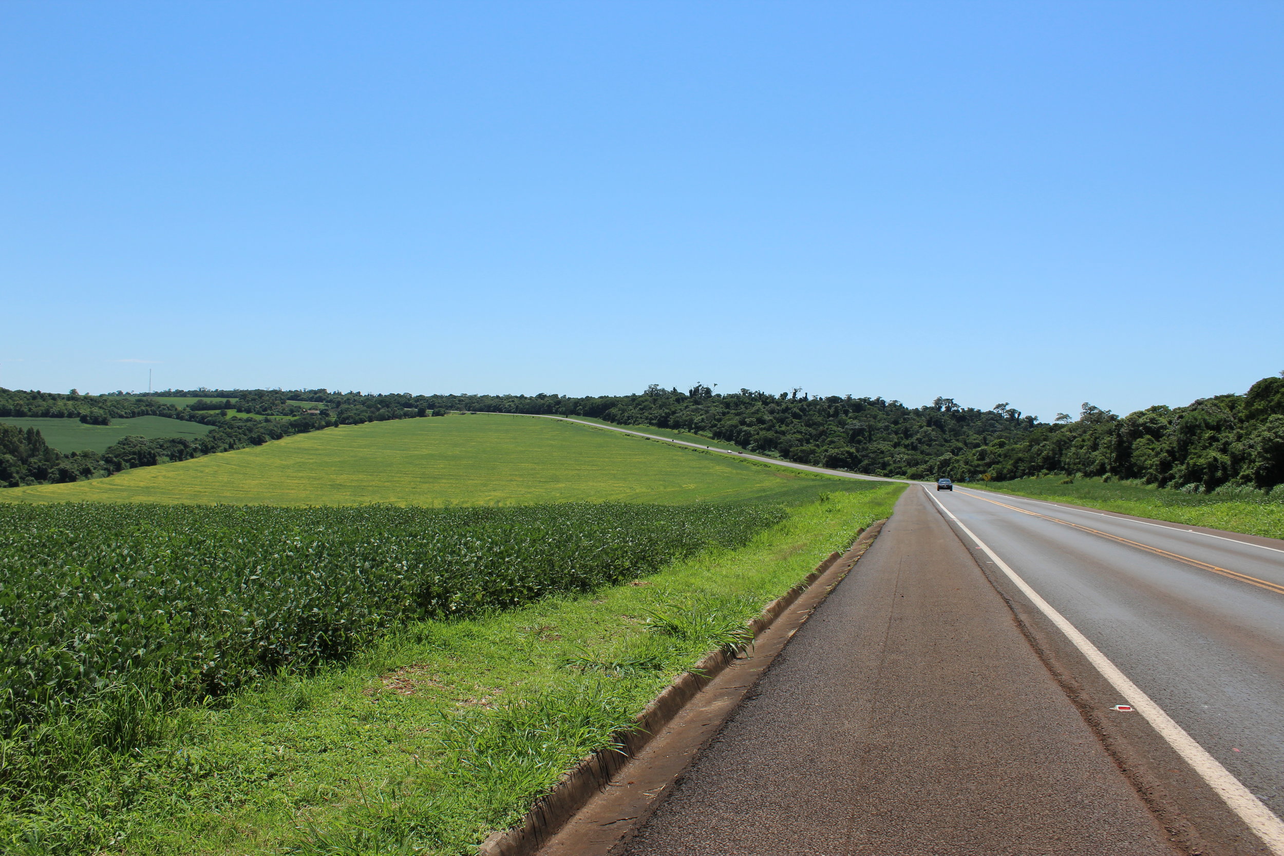  Estrada nos arredores de Maringá 
