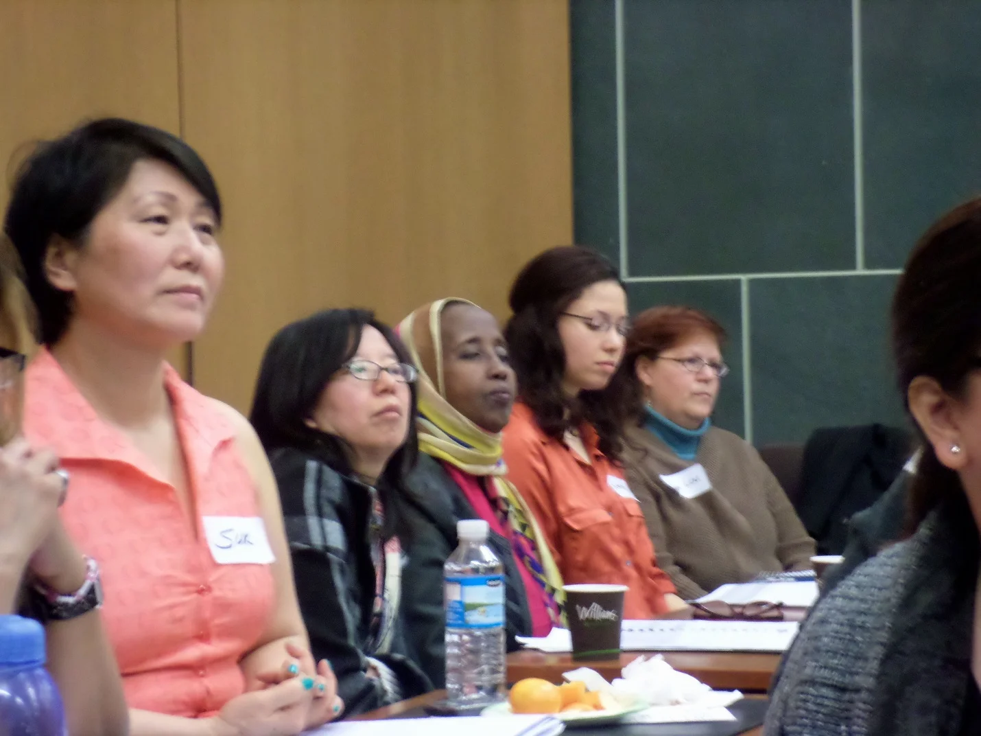 Women Working with Immigrant Women, 1974-2002