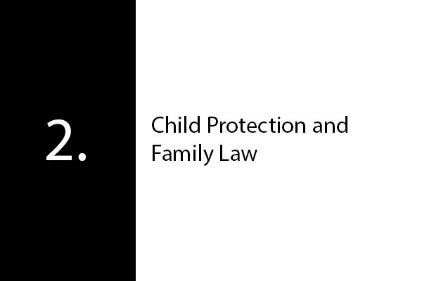 Child Protection and Family Law