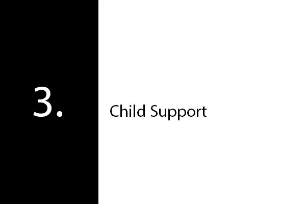 Child Support
