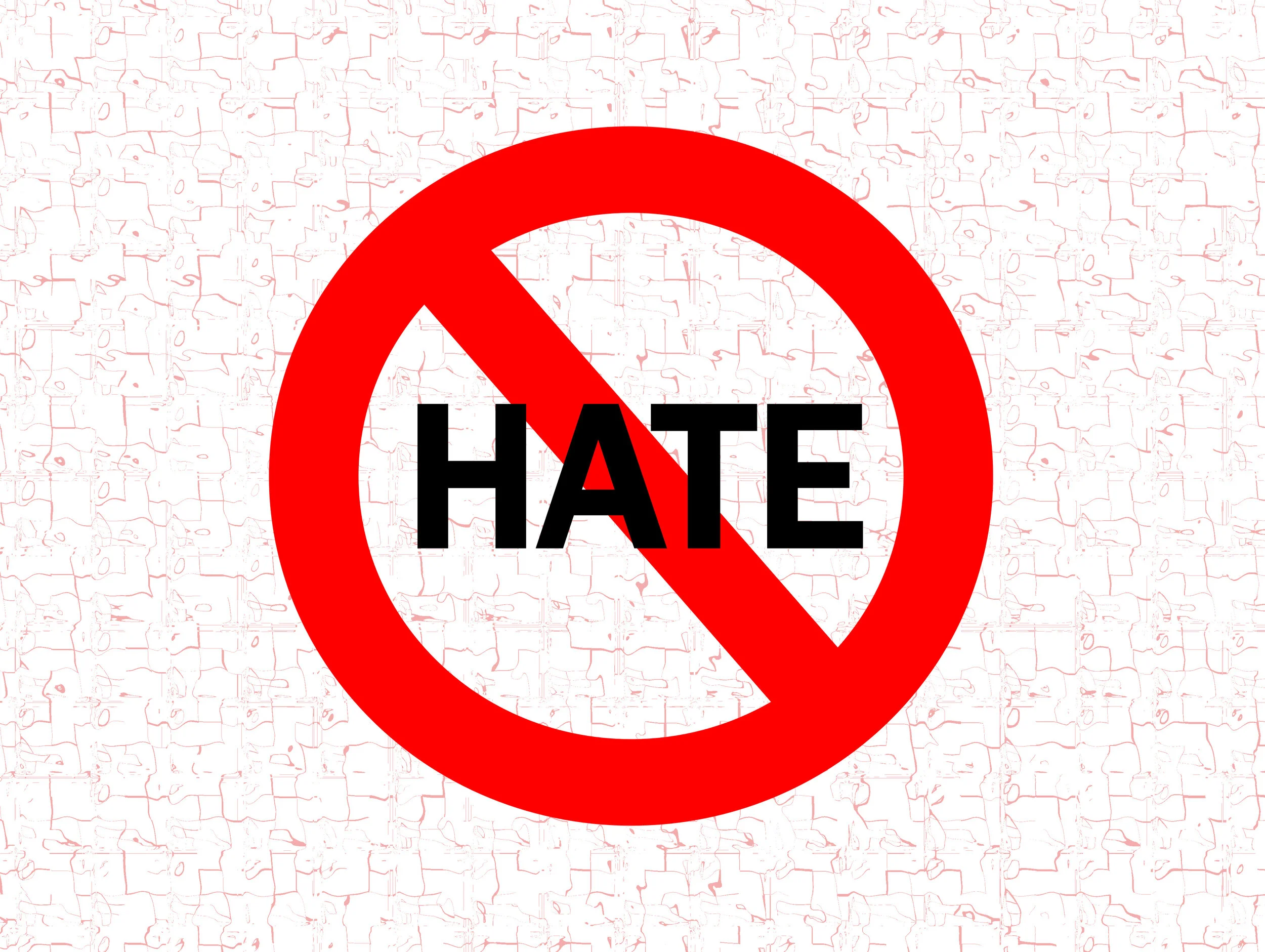 No One Is Born Hating 