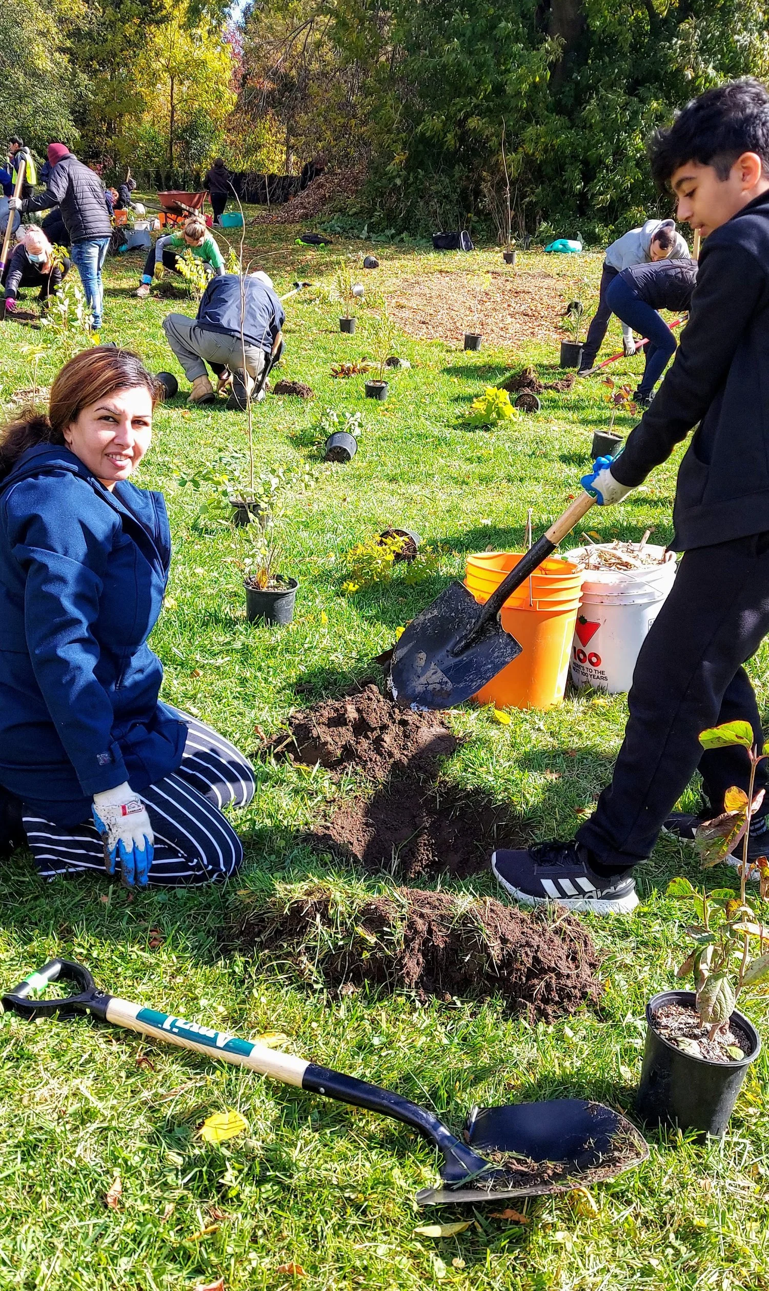 Tree planting in Whitby