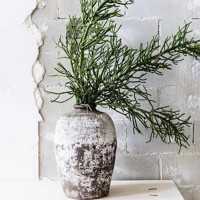 Drawing inspiration, I&rsquo;m improvising at home with foliage collected on my daily walk. I wonder if my neighbours would notice if their olive tree dropped a branch or two? 🍃🍃🍃
.
.
.
.
.
.

#interior_design #decora&ccedil;&atilde;o #homestyling
