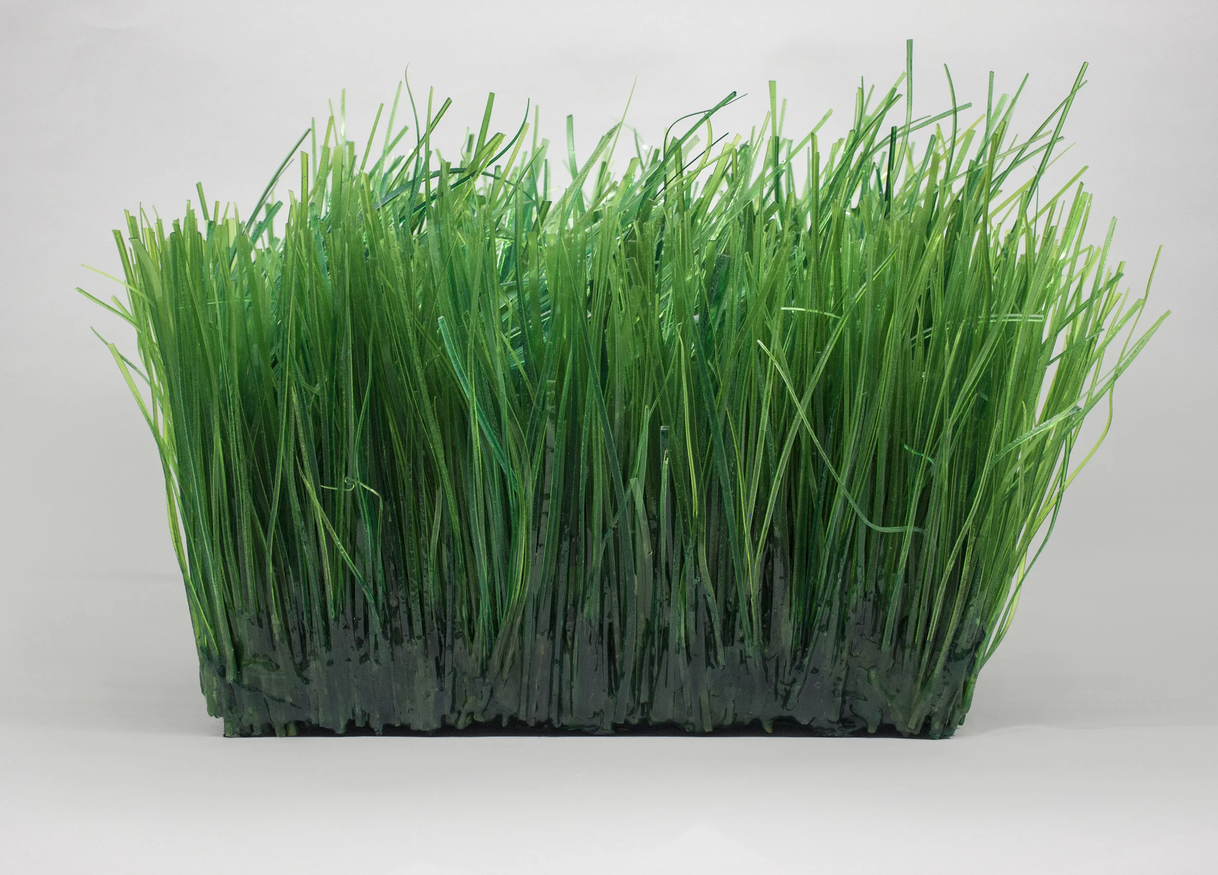 Prairie Grass