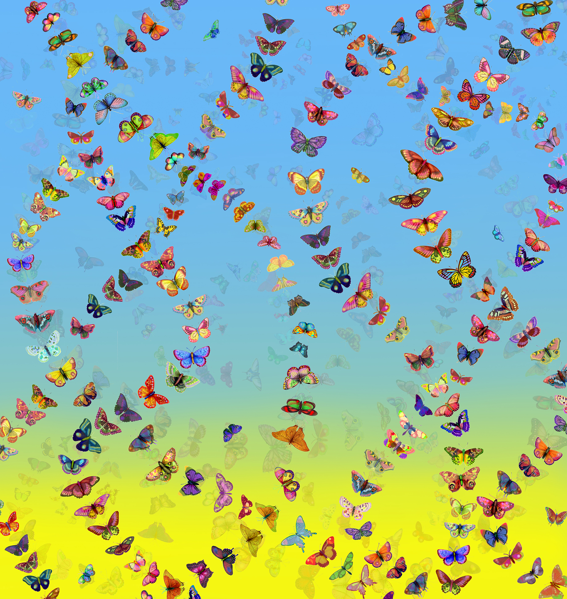 31_Butterfly Ribbonstif copy.jpg