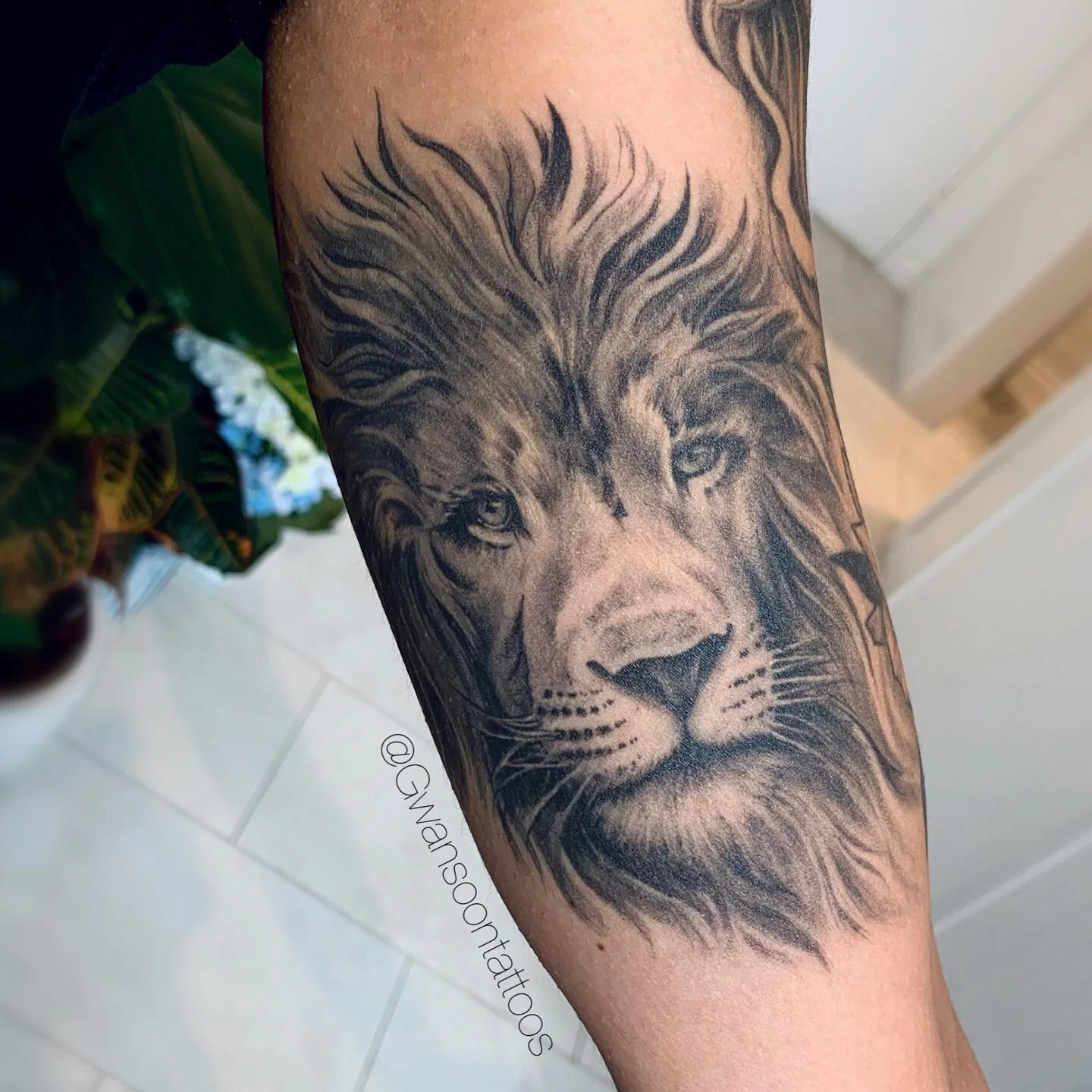 Healed lion tattoo done about a year ago. &mdash;&mdash;&mdash;&mdash;&mdash;&mdash;&mdash;&mdash;&mdash;&mdash;&mdash;&mdash;&mdash;&mdash;&mdash;&mdash;&mdash;&mdash;
Follow us @gwansoontattoos ✍🏼
&mdash;&mdash;&mdash;&mdash;&mdash;&mdash;&mdash;&mdash;&mdash;&mdash;&mdash;&mdash;&mdash;&mdash;&mdash;&mdash;&mdash;&mdash;
☎️ 1-416-909-9055
📩 info@gwansoonleetattoo.com
🖥 www.gwansoonleetattoo.com
&mdash;&mdash;&mdash;&mdash;&mdash;&mdash;&mdash;&mdash;&mdash;&mdash;&mdash;&mdash;&mdash;&mdash;&mdash;&mdash;&mdash;&mdash;
.
.
.
.
.
#gwansoontattoos#tattooofinstagram#blackandgrey#tattooaddict#tattooartwork#tattoooftheday#tattoolife#tattoomodel#tattoostyle#skinart#tattooideas#tattooart#tattooworld#tattoolove#tattooinspiration#torontoart#torontoartist#mississauga#toronto#brampton#torontotattoo#mississaugatattoo#tatuaje#tattooidea#femaleartist#liontatttoo#liontattoos#sleevetattoo#portraittattoo#tigertattoo