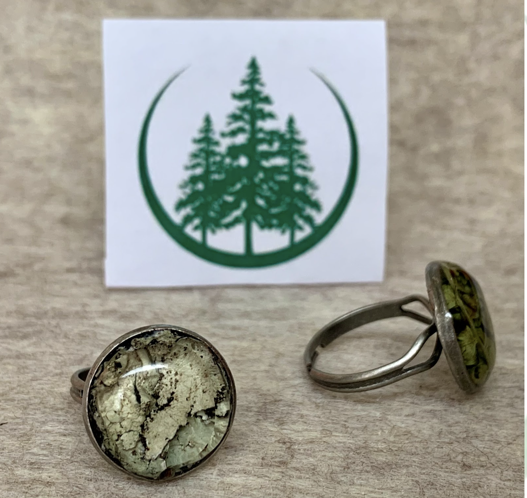 Screenshot 2025-02-25 at 1.51.13 PM.png