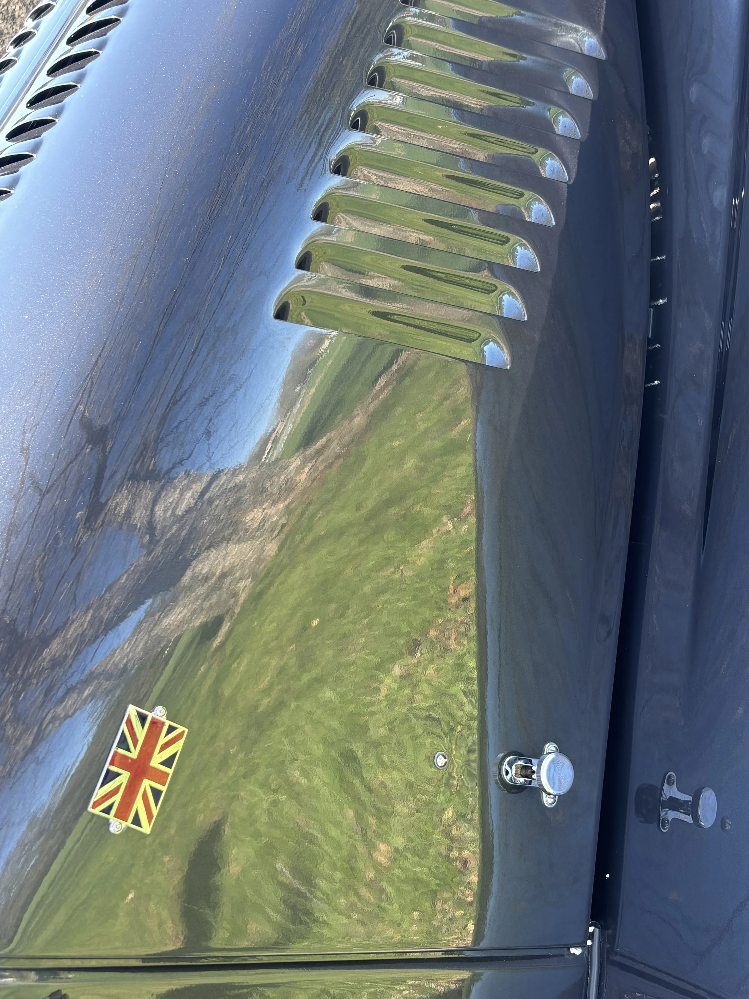55192783437_e888d674e6_o.jpg