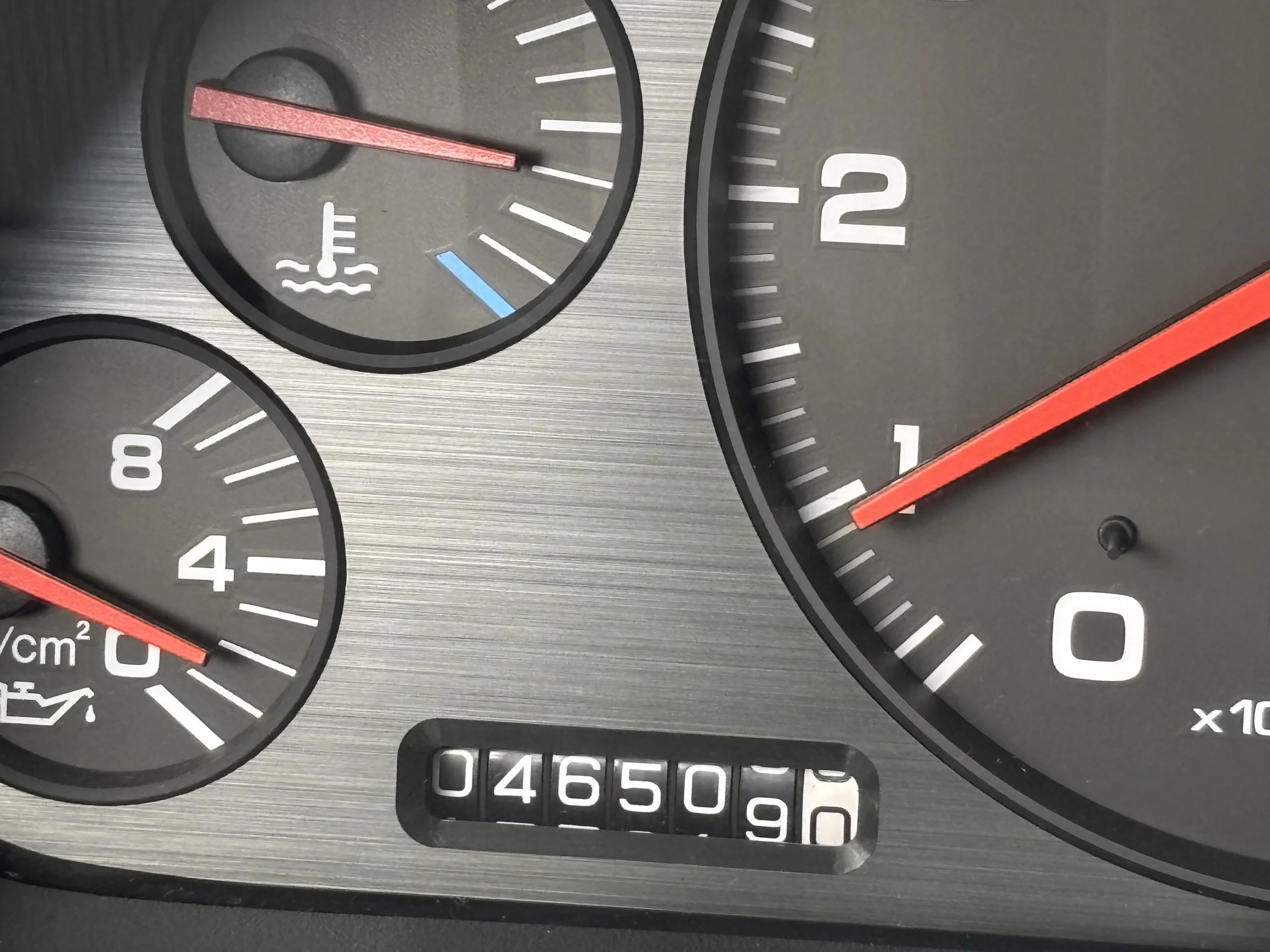 55487880174_7436c40c8e_o.jpg