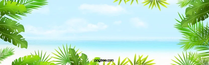 summer banner.jpg