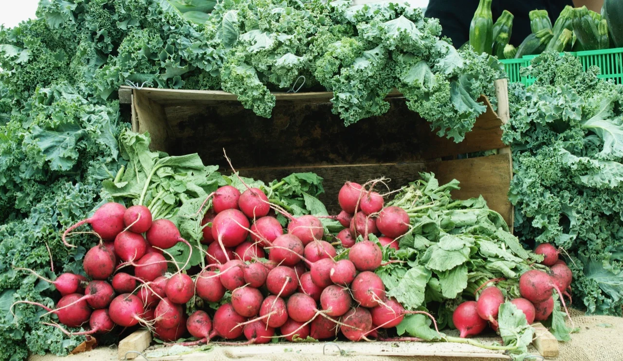 Fresh kale & radishes at the Trinity Bellwoods Farmer’s Market in Toronto