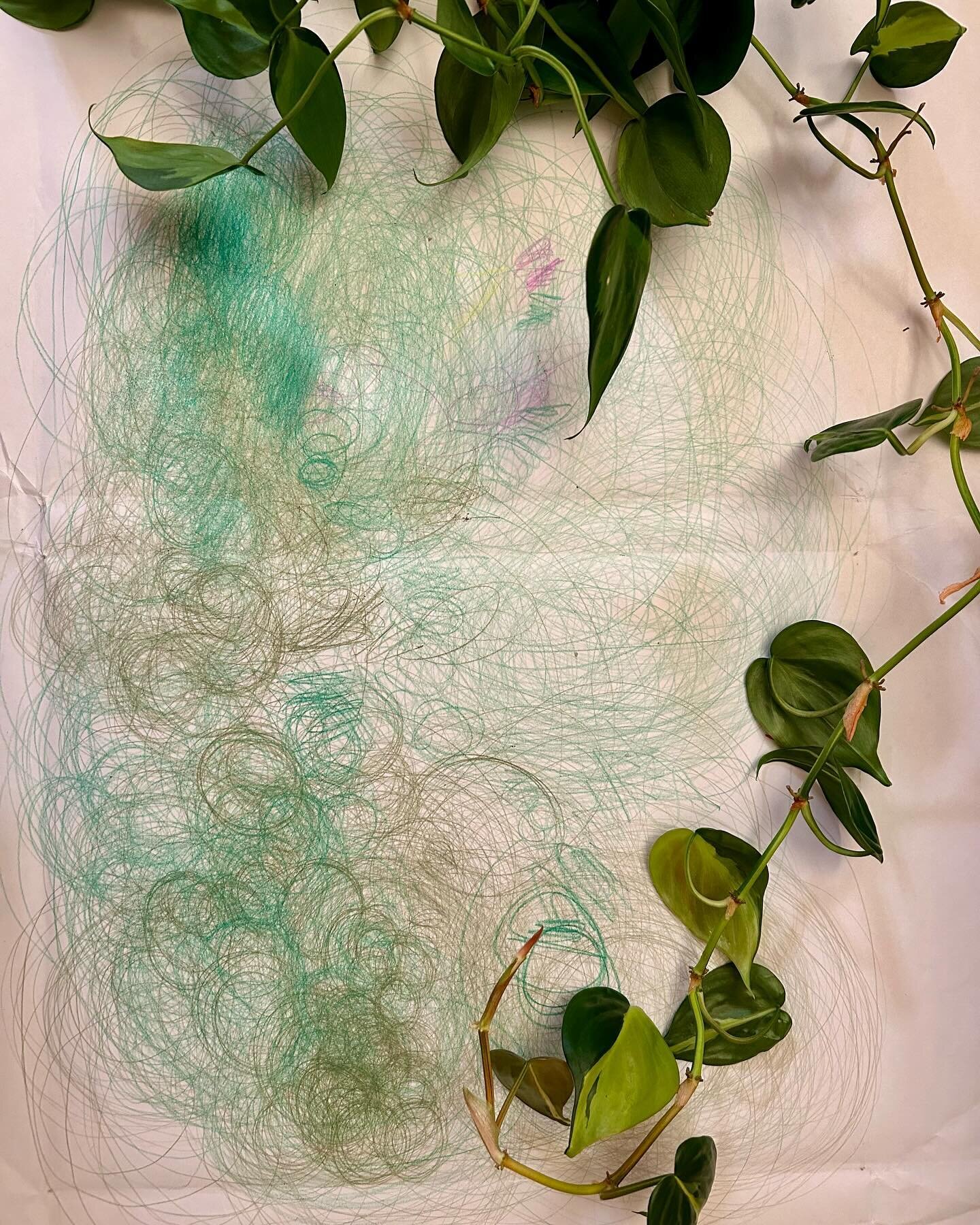A moment of rest in a busy work catch-up and errand-filled weekend. ⁣Thanks @heyheyshauna 💚
⁣
Image description: A drawing on paper with swirly pencil crayon marks in shades of green. It&rsquo;s framed by variegated leaves of a philodendron housepla