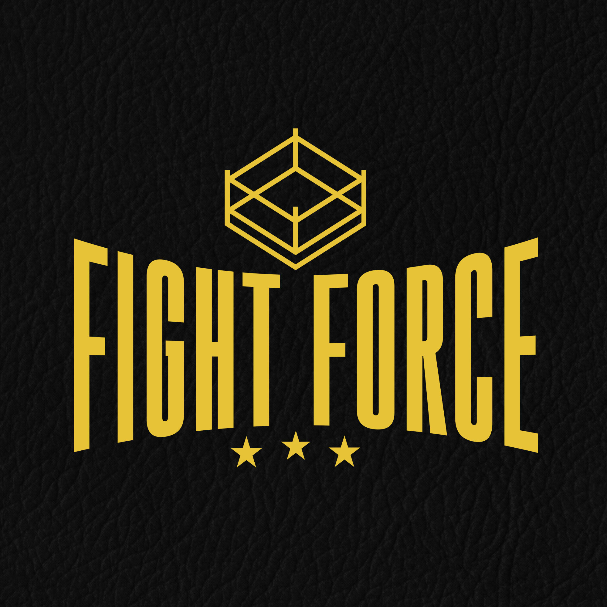 fight force.jpg