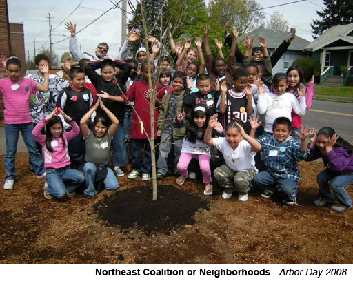 NECN_arborDay.jpg