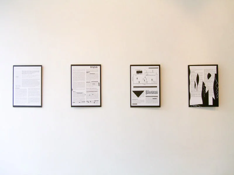 This was a rare occasion where I did work that interacted directly with my science practice , taking a paper and transforming it from information to an object. The actual paper can be accessed here