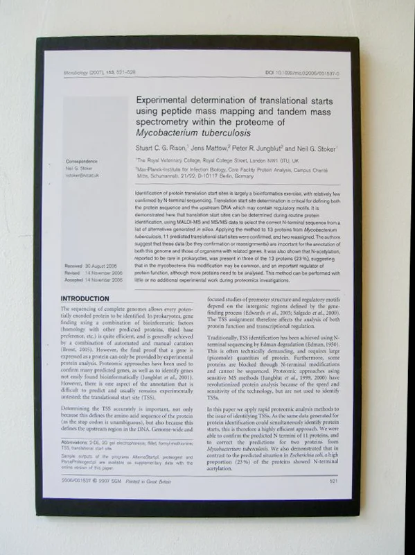 page1.jpg