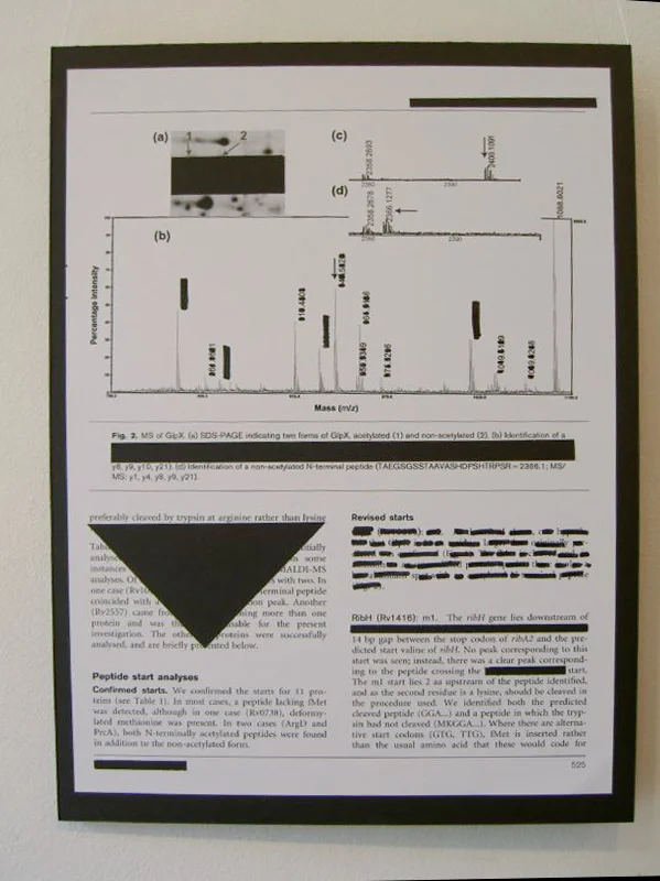 page2.jpg
