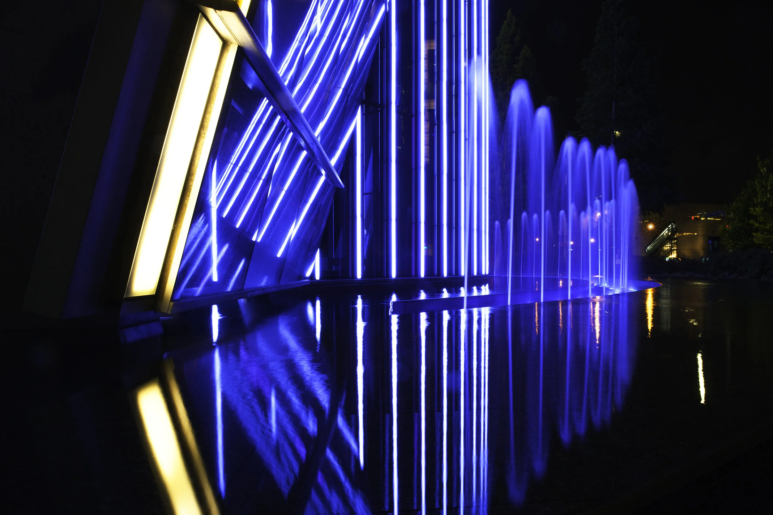 10_Avery Fretwell_Night Shoot-136-1_.jpg
