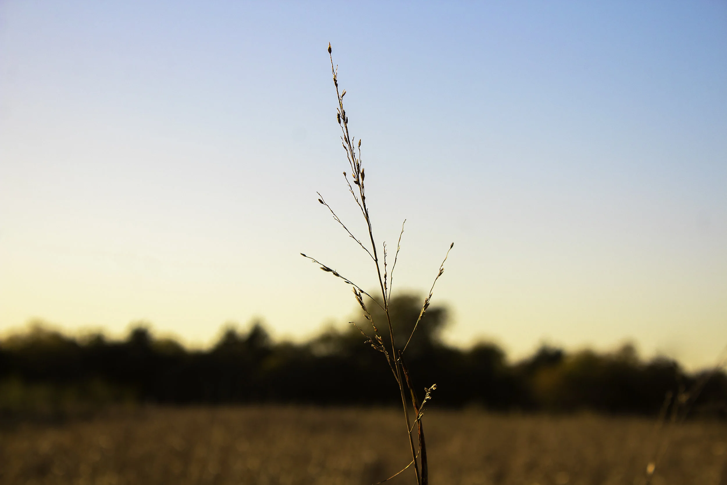 Avery Fretwell_Nature Class-21-1__.jpg