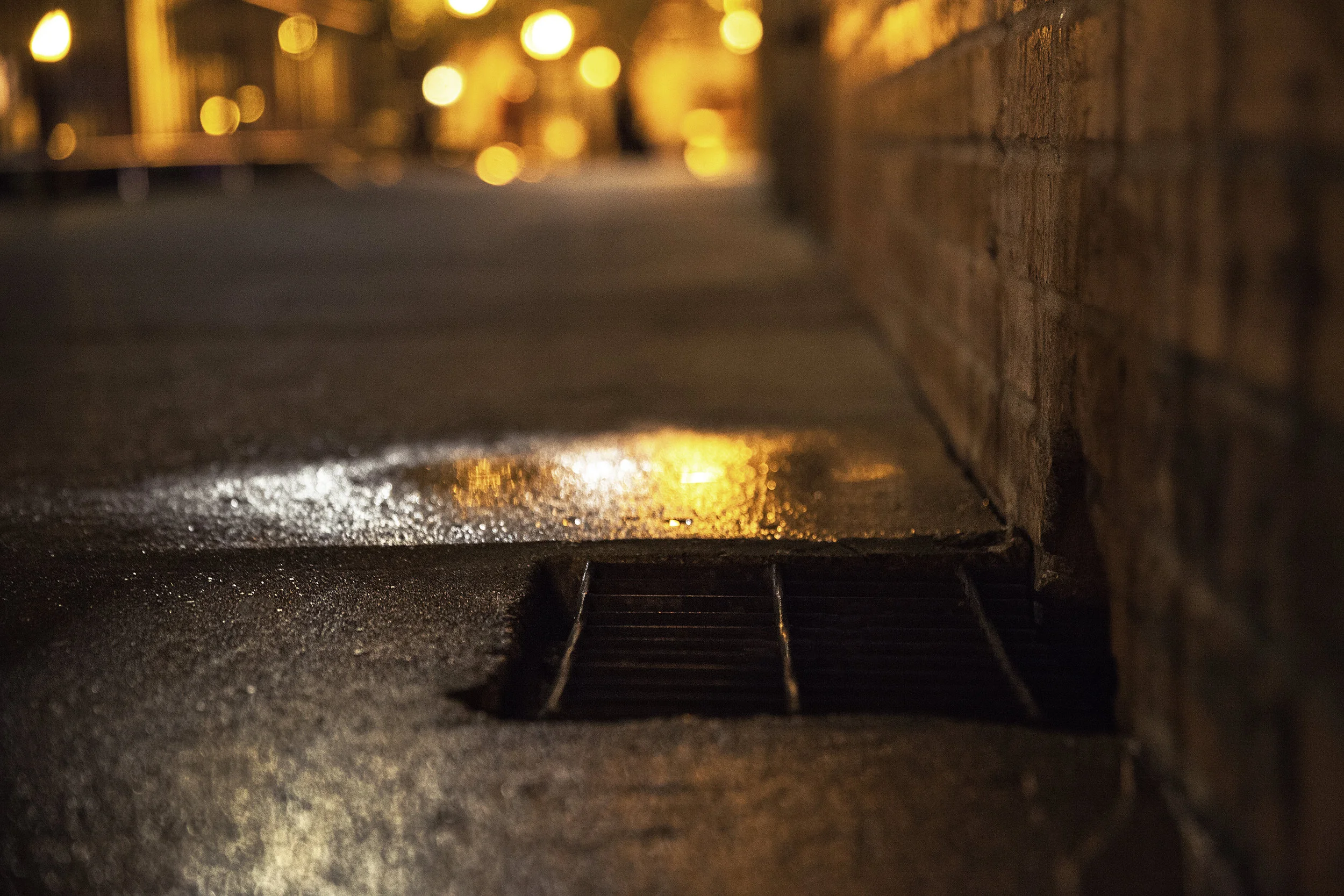 Avery Fretwell_Night Shoot-82-1_.jpg