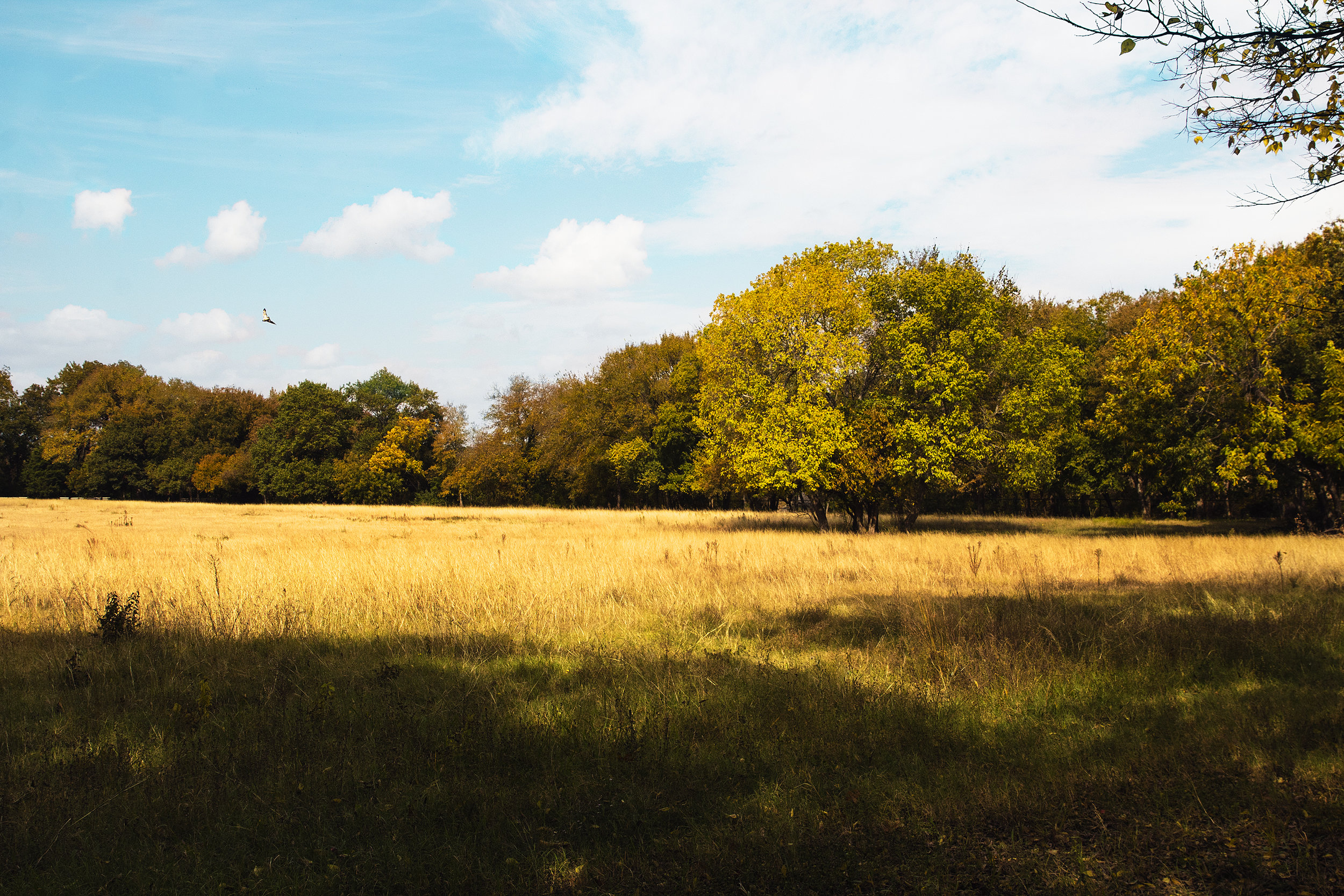 Avery Fretwell_Nature-_Light on the Land43-1_.jpg