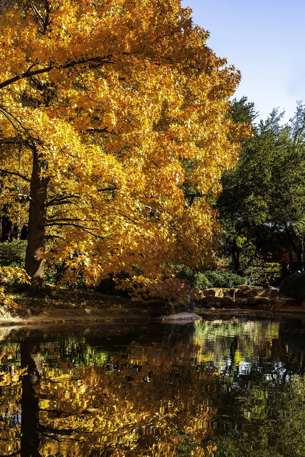Fretwell_WEB_ Natura_2.jpg