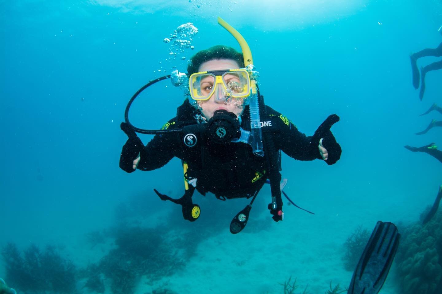 Went scuba diving at the Great Barrier Reef today with @passionsofparadise. Such a good day. I hadn&rsquo;t taken a scuba dive for 22 years and the instructors were so kind and confident.  They took us to the most amazing coral and marine life I&rsqu