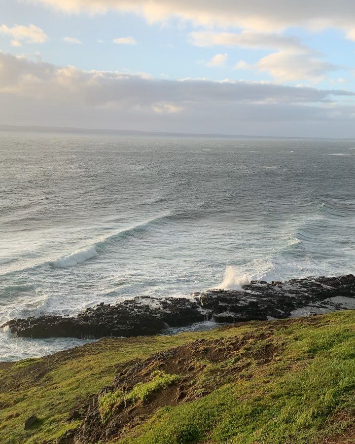 The wonders of Australia&rsquo;s southern coast. #phillipisland #wallaby #oceanview