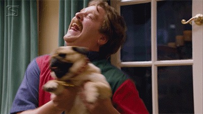 9969a8989bc559751bd9dcd34c45f7f3__1440x.gif