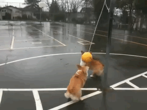 anigif_enhanced-buzz-31860-1377011478-0.gif