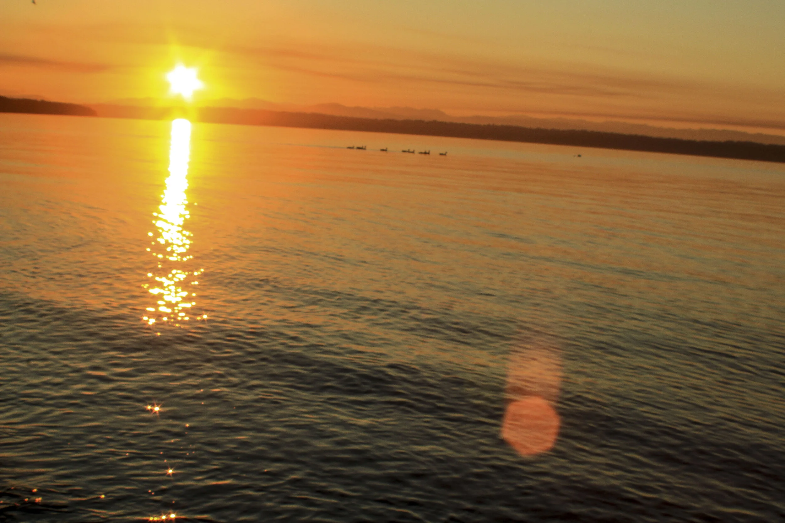 vashon morning glass_28.JPG